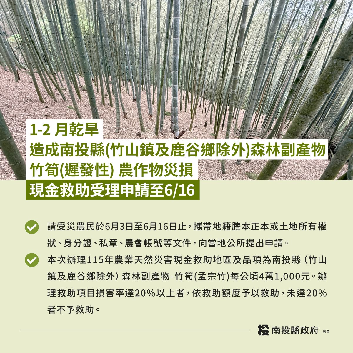 文章圖片-115年1-2月乾旱造成本縣(竹山鎮及鹿谷鄉除外)森林副產物-竹筍 (遲發性)農業天然災害農業部同意辦理現金救助