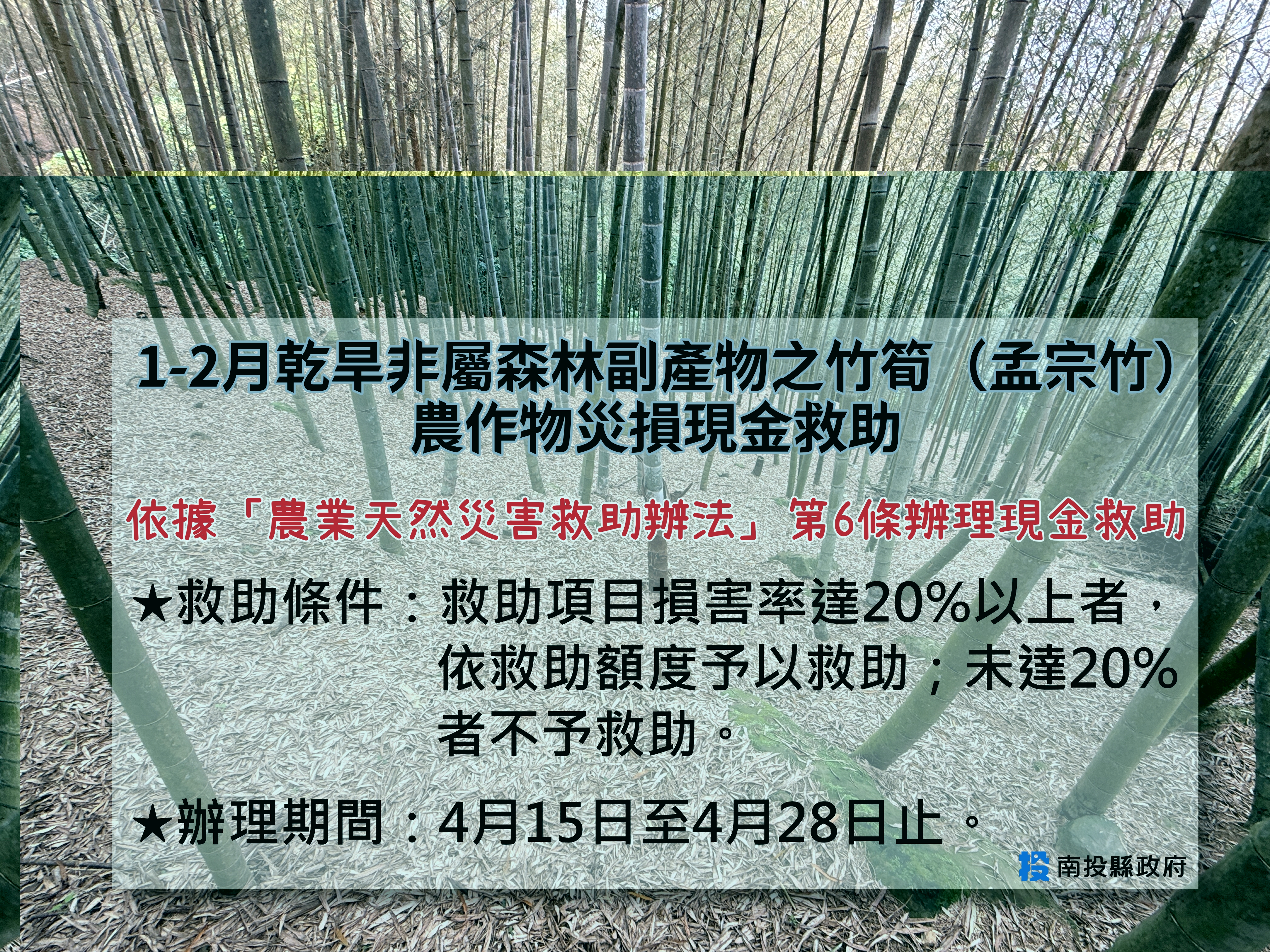 圖片-1-2月乾旱造成本縣非屬森林副產物之竹筍（孟宗竹）農作物災損農業部同意辦理現金救助