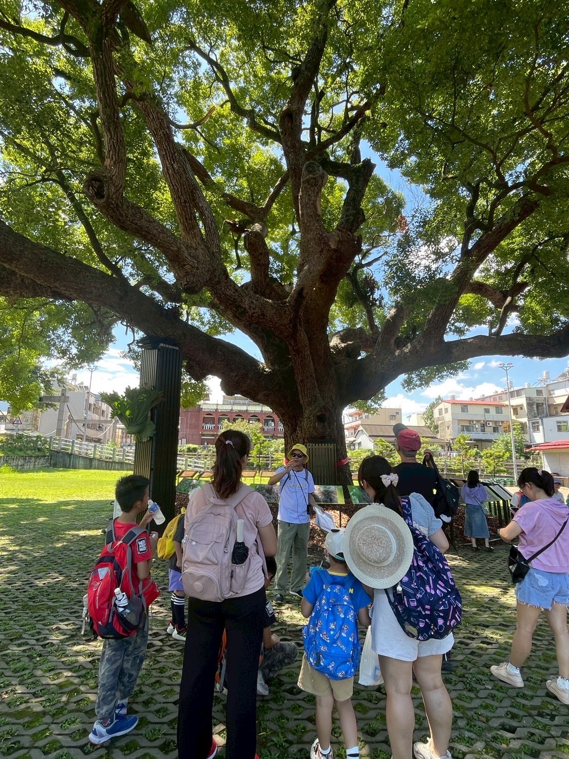 相關圖片7-「集集復集集 · 永續新復駛」南投走春添新遊程