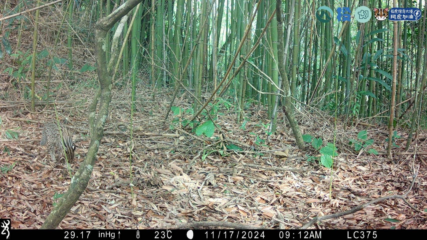 相關圖片3-南投縣生態服務給付 3月10日起受理申請