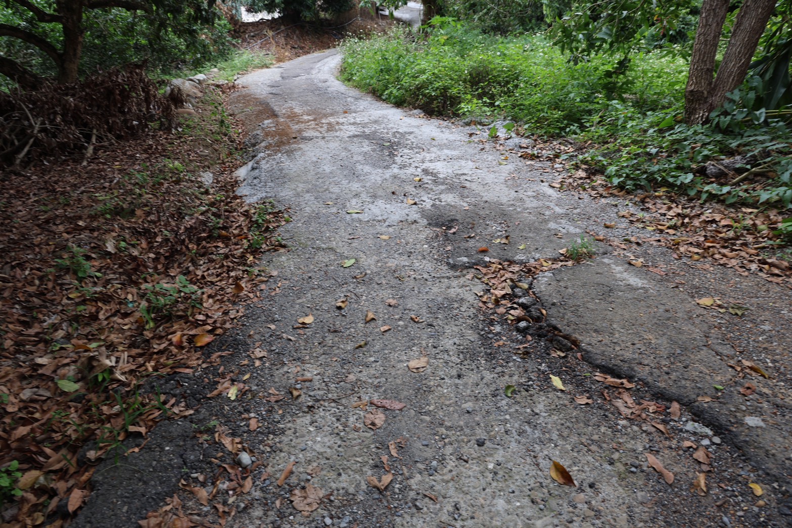 相關圖片6-中寮鄉15處農水路急需改善 許縣長會勘核撥2,297萬9千餘元改善