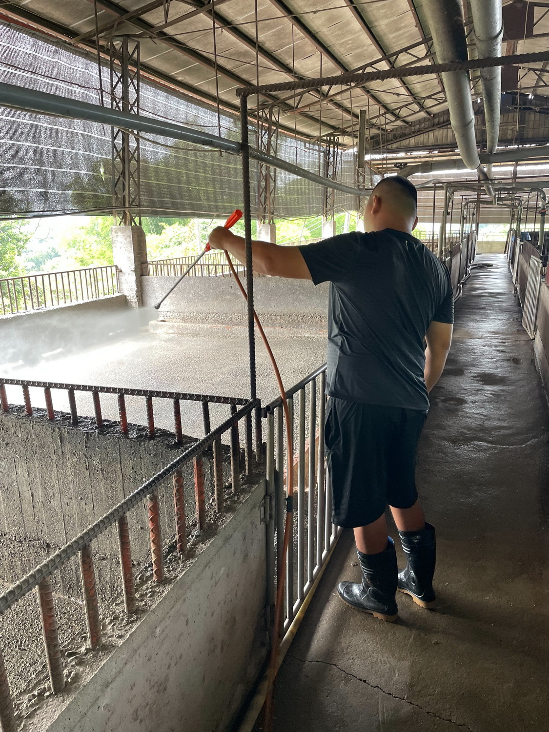 相關圖片5-防治非洲豬瘟 縣府積極清消 學校營養午餐菜色彈性調整