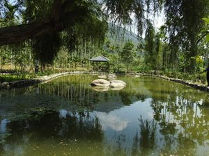 連至 40萬元打造生態花園 福龜社區獲園冶獎 完整照片