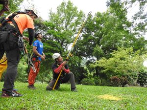 連至 繩索高空攀樹救援訓練有成 南投消防救難技能更上層樓   2 完整照片