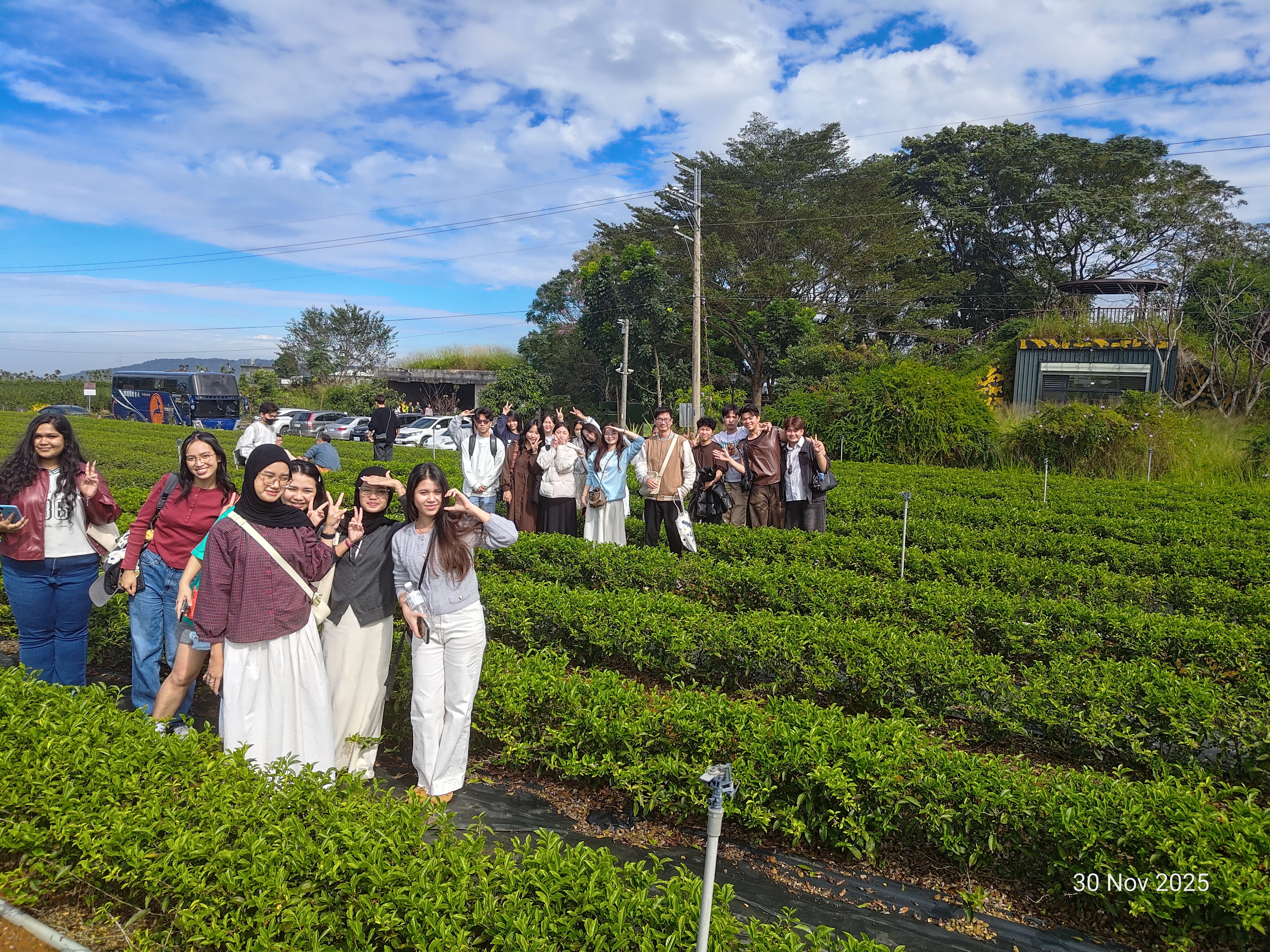 文章圖片-名間鄉－鳳凰單叢有機茶園