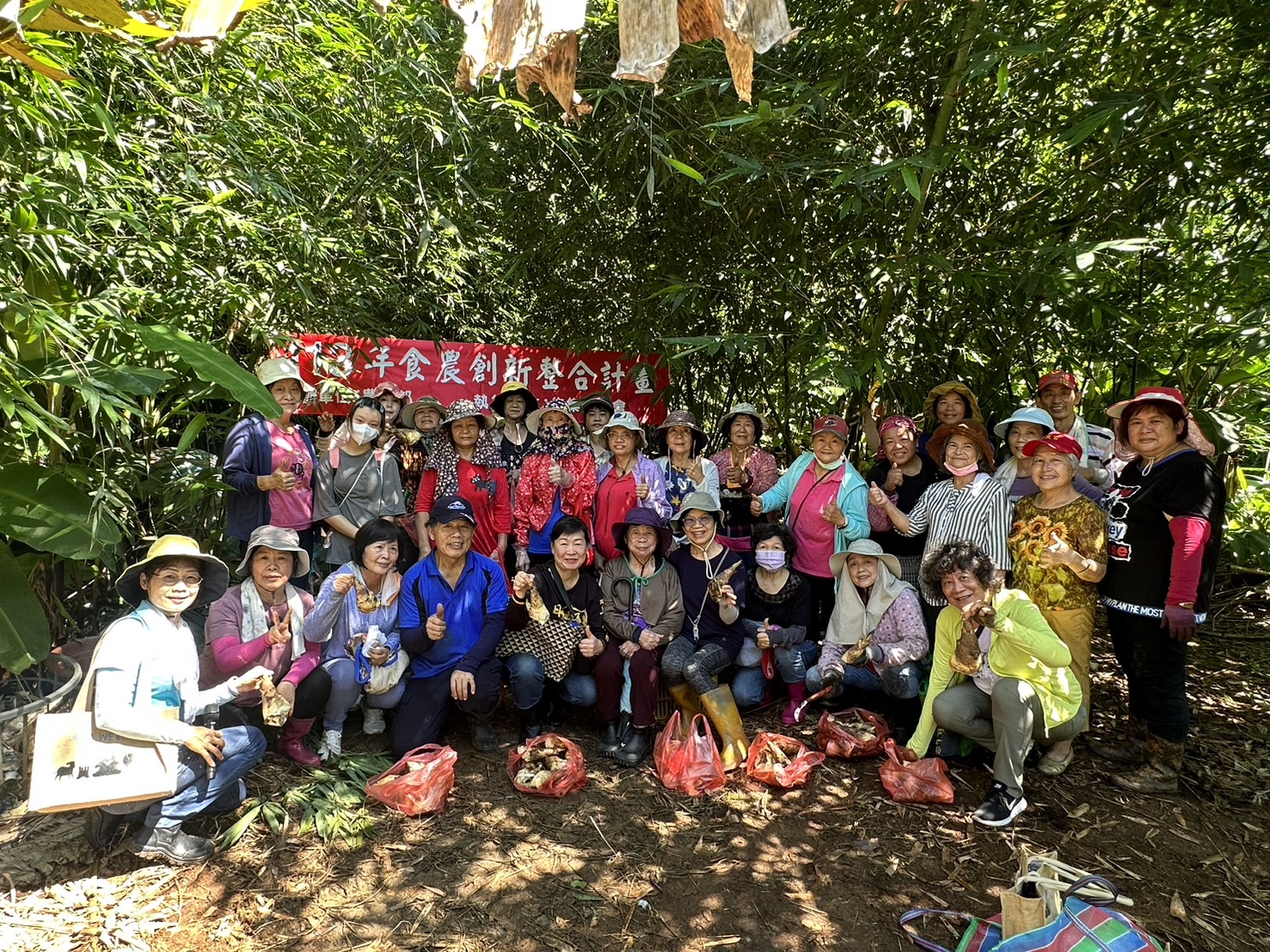 文章圖片-集集鎮－文福農場